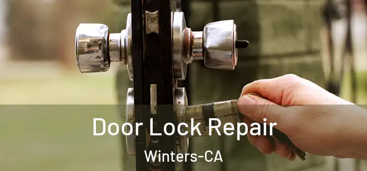  Door Lock Repair Winters-CA