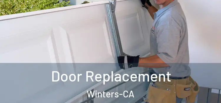  Door Replacement Winters-CA