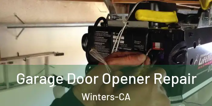 Garage Door Opener Repair Winters-CA