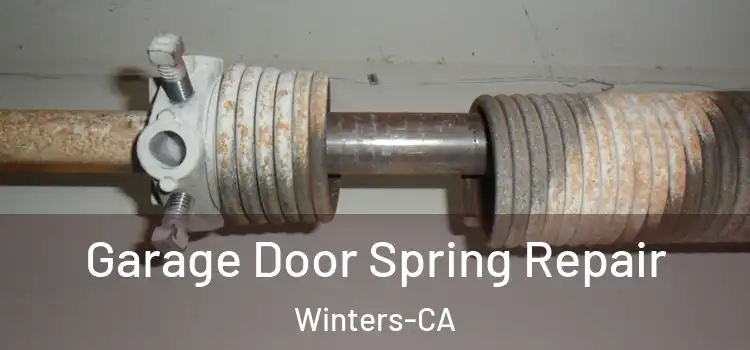  Garage Door Spring Repair Winters-CA
