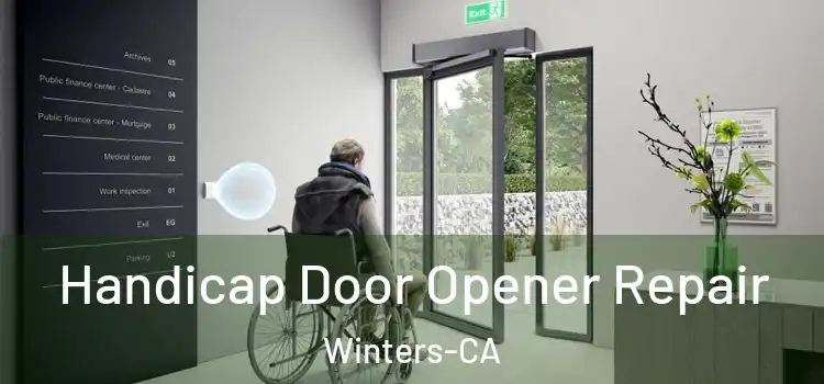Handicap Door Opener Repair Winters-CA